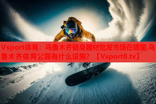 Vsport体育：乌鲁木齐健身器材批发市场在哪里,乌鲁木齐体育公园有什么设施？