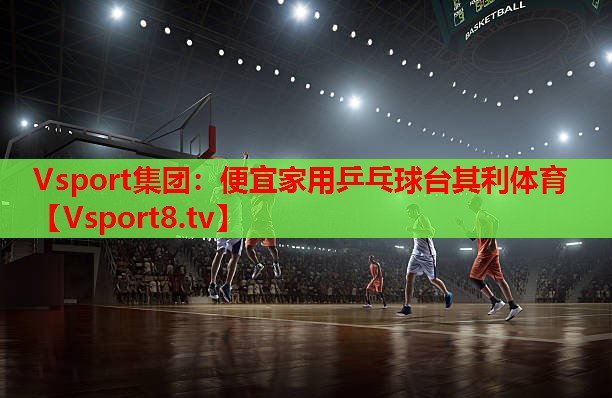 Vsport集团：便宜家用乒乓球台其利体育