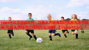 vsport体育在线官网：乌鲁木齐健身器材批发市场在哪里,乌鲁木齐体育公园有什么设施？