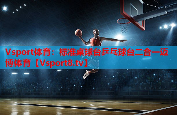 Vsport体育：标准桌球台乒乓球台二合一迈博体育