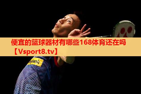 便宜的篮球器材有哪些168体育还在吗
