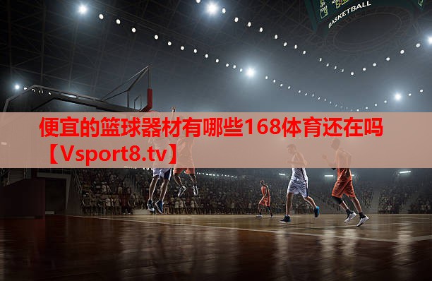 便宜的篮球器材有哪些168体育还在吗
