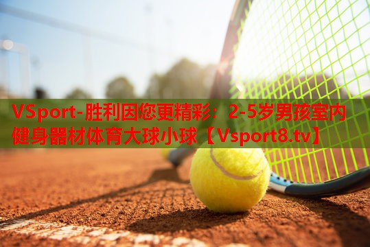 VSport-胜利因您更精彩：2-5岁男孩室内健身器材体育大球小球