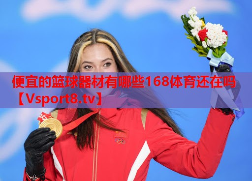 便宜的篮球器材有哪些168体育还在吗