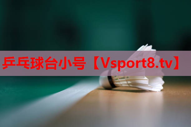 乒乓球台小号