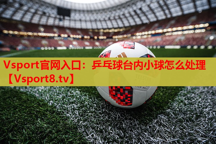 Vsport官网入口：乒乓球台内小球怎么处理