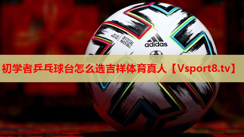 初学者乒乓球台怎么选吉祥体育真人