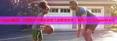 Vsport集团：不同的乒乓球台各有几张雷泽体育｜官网入口