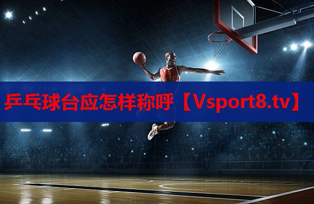 乒乓球台应怎样称呼
