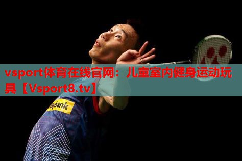 vsport体育在线官网：儿童室内健身运动玩具