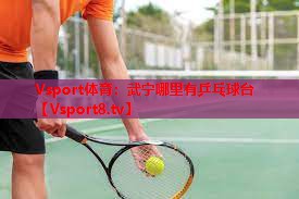 武宁哪里有乒乓球台