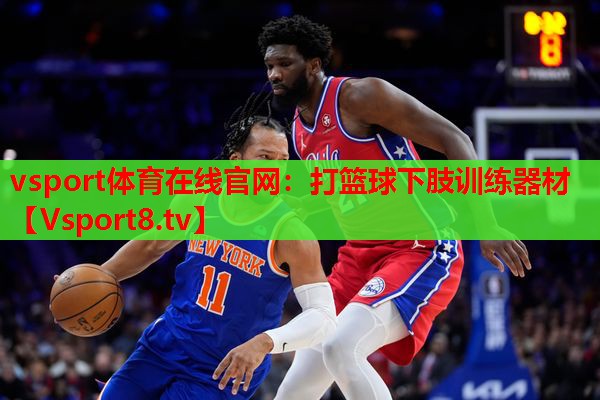 打篮球下肢训练器材 打篮球下肢训练器材